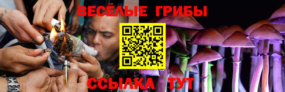Галлюциногенные грибы Cubensis Горно-Алтайск